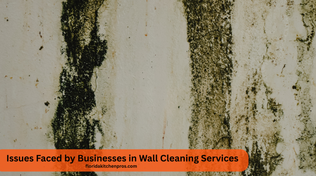 Issues Faced by Businesses in Wall Cleaning Services